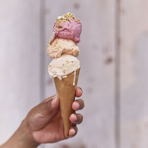 Sorbeti&egrave;re Duo 2x1L